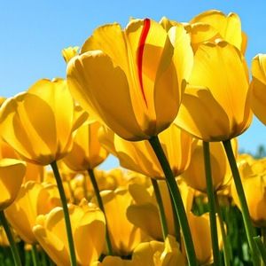 Meet your Posher, Patti